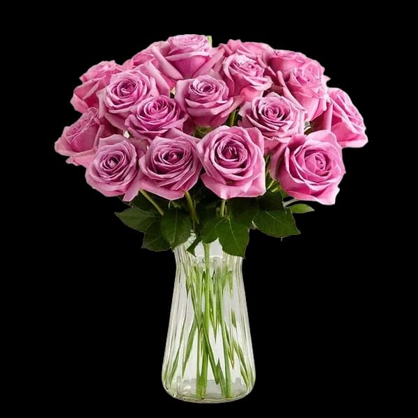 Passion for Purple Roses