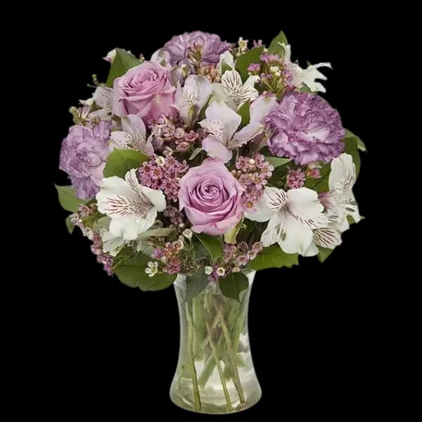 Lavender & White Brilliance